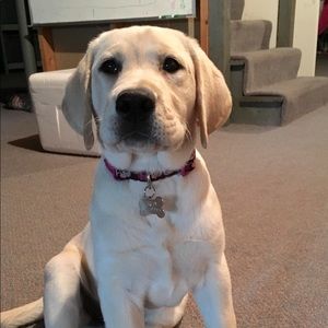 Meet your Posher, Cory